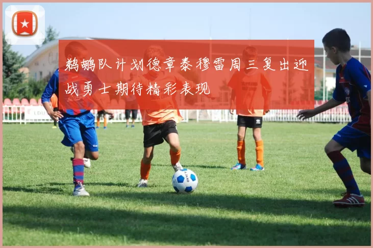 鹈鹕队计划德章泰穆雷周三复出迎战勇士期待精彩表现